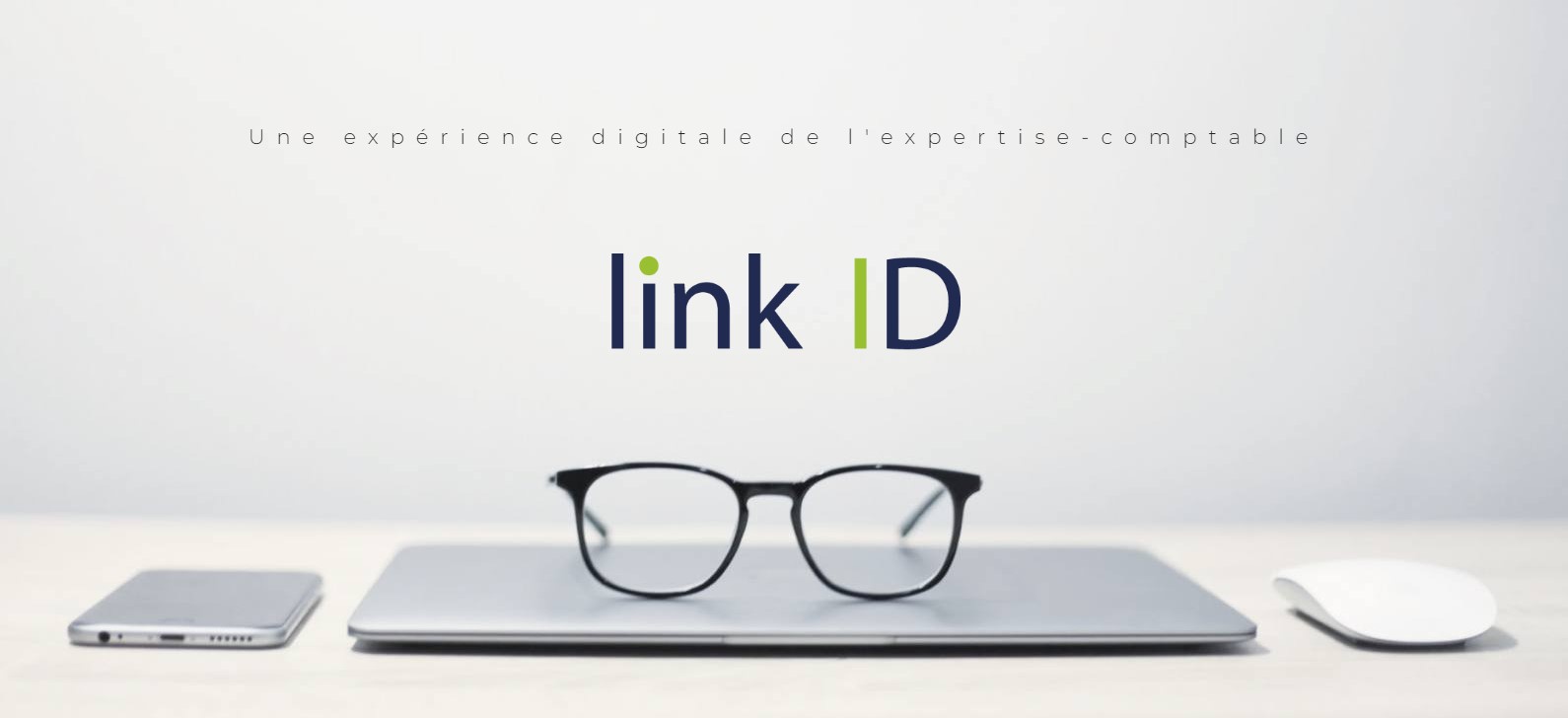 Link ID - Expert Comptable - Agence informatique - Logi-creator
